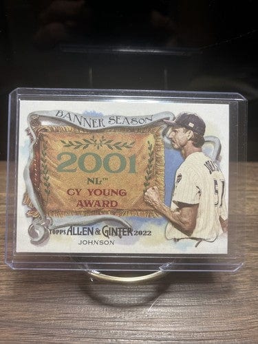 2022 Allen & Ginter Banner Season #BS-24 Randy Johnson - Arizona Diamo