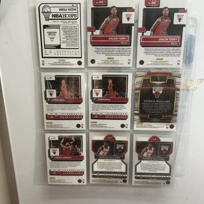 Chicago Bulls Lot 21-22 Panini Select,22-23 Donruss Dalen Terry RC,Bal
