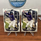 Cheap Sneaks Footwear/Sports Cards Dyan Jorge 2023 Bowman 1st Prospect #BP-22 Colorado Rockies RC